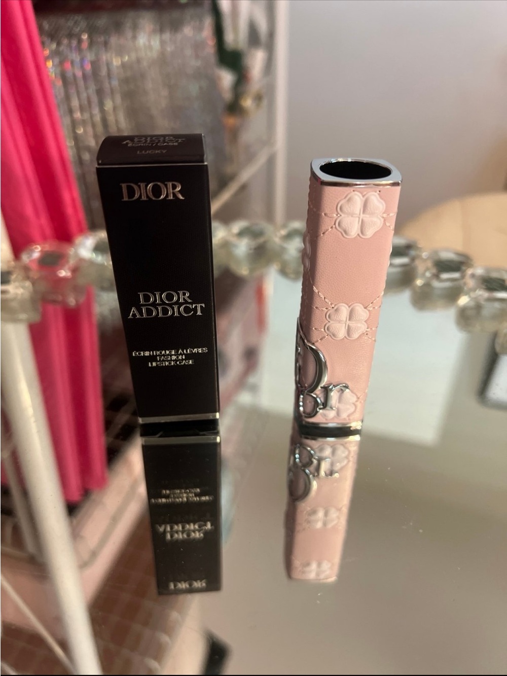 Dior Addict Lip Case in Lucky